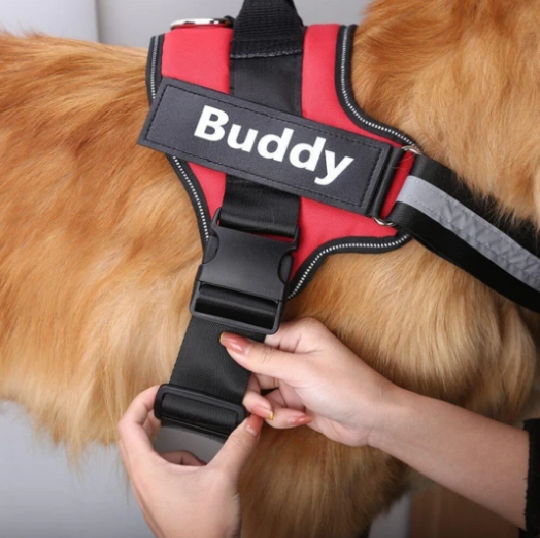 Personalised Dog Harness Vest